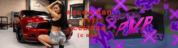 стаф Армянск