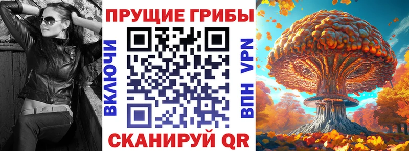 Псилоцибиновые грибы мухоморы kraken Пучеж как найти закладки